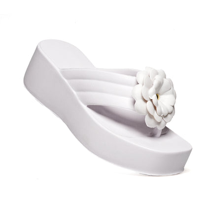 Sandália   Sundalice