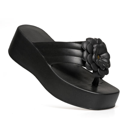 Sandália   Sundalice