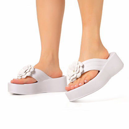 Sandália   Sundalice